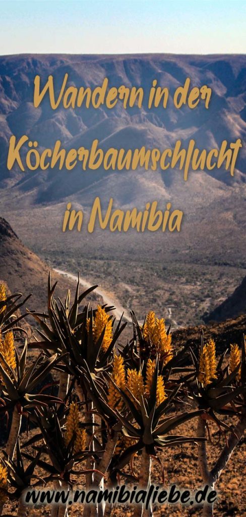 Wandern in der Köcherbaumschlucht in Namibia Namibialiebe